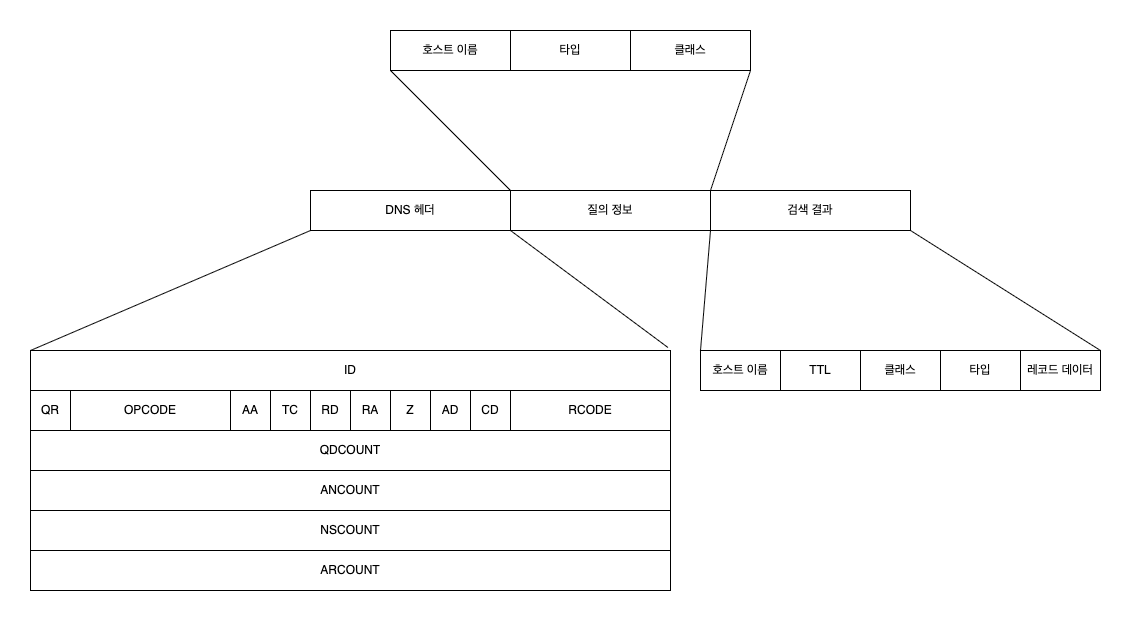 DNS message structure